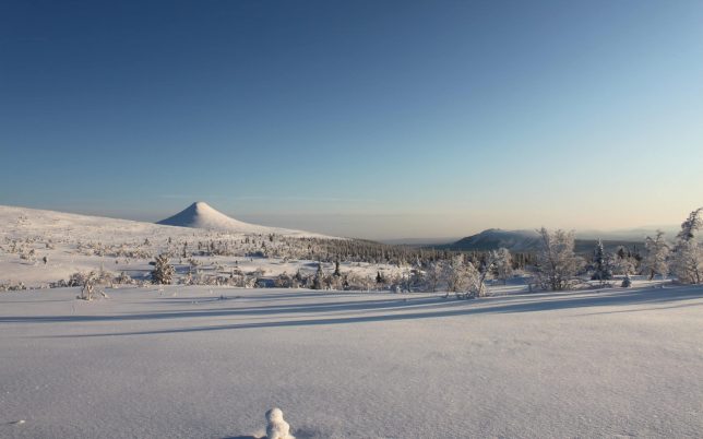Utsiktsbild idrefjällen sommarutsikt-idrefjall-städjan-sommar
